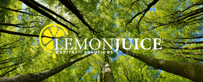 Lemonjuice logo with upward view of tree leaves and tree trunks