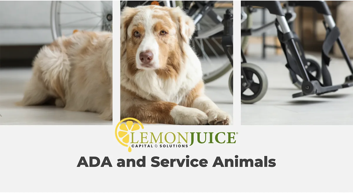 ADA_Service_Animals